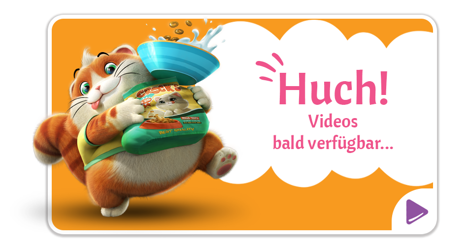 Huch! Videos bald verfügbar...