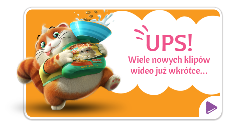 UPS! Wiele nowych klipów wideo już wkrótce…