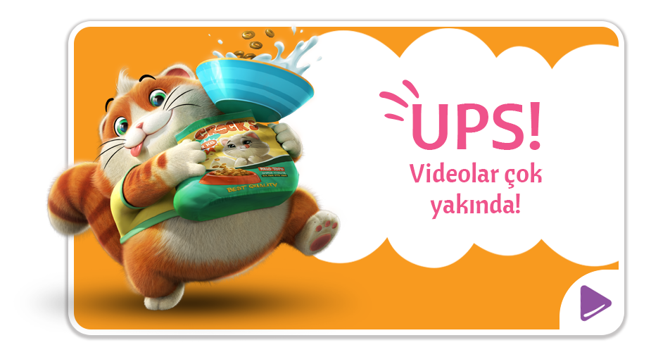 UPS! Videolar çok yakında!