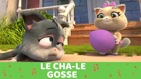 Chanson Le Cha Le Gosse Musique 44 Chats